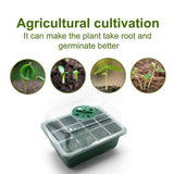 NNEDSZ 10 Set 12 Hole Plant Seed Grow Box Propagation Nursery Seedling Starter Tray