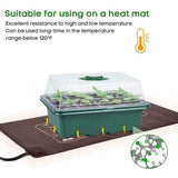 NNEDSZ 10 Set 12 Hole Plant Seed Grow Box Propagation Nursery Seedling Starter Tray
