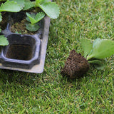 NNEDSZ 12x 72 Hole Plant Seed Grow Box Insert Propagation Nursery Seedling Starter Tray