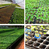 NNEDSZ 12x 72 Hole Plant Seed Grow Box Insert Propagation Nursery Seedling Starter Tray