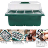 NNEDSZ 10 Set 12 Hole Plant Seed Grow Box Propagation Nursery Seedling Starter Tray