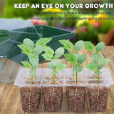 NNEDSZ 10 Set 12 Hole Plant Seed Grow Box Propagation Nursery Seedling Starter Tray
