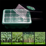 NNEDSZ 10 Set 12 Hole Plant Seed Grow Box Propagation Nursery Seedling Starter Tray
