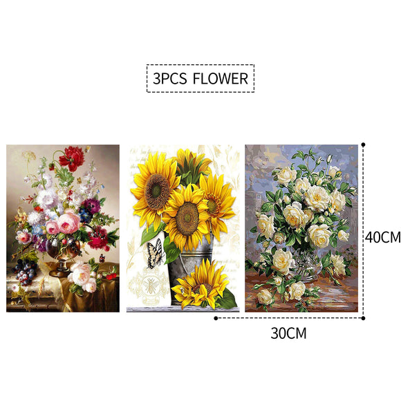 NNEDSZ 3PCS 5D Diamond Painting Kits Diamond Glue Art Kit Paint for Adults Kids DIY Gift 40x30cm