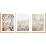 NNEDSZ Wall Art 60cmx90cm Dried Flower 3 Sets Wood Frame Canvas