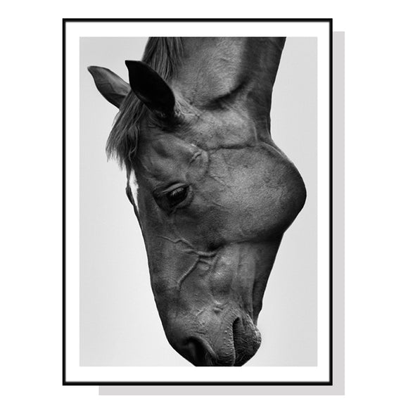 NNEDSZ Wall Art 70cmx100cm Modern Black Horse Black Frame Canvas