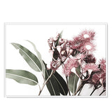 NNEDSZ Wall Art 50cmx70cm Eucalyptus in Bloom White Frame Canvas