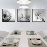 NNEDSZ Wall Art 60cmx60cm Botanical dandelions 3 Sets Black Frame Canvas