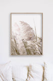 NNEDSZ Wall Art 40cmx60cm Pampas Grass 2 Sets Wood Frame Canvas