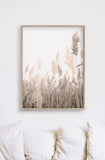 NNEDSZ Wall Art 60cmx90cm Pampas Grass 2 Sets Wood Frame Canvas