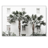 NNEDSZ Wall Art 60cmx90cm Palm Tree White Frame Canvas