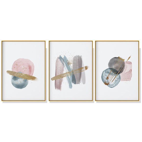 NNEDSZ Wall Art 40cmx60cm Blush Pink Watercolor 3 Sets Gold Frame Canvas