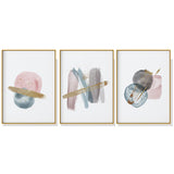 NNEDSZ Wall Art 60cmx90cm Blush Pink Watercolor 3 Sets Gold Frame Canvas