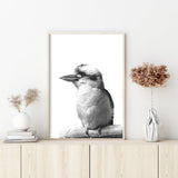 NNEDSZ Wall Art 80cmx120cm Kookaburra Black Frame Canvas
