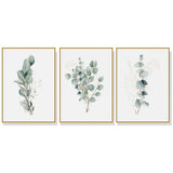 NNEDSZ Wall Art 50cmx70cm Eucalyptus Plant 3 Sets Gold Frame Canvas