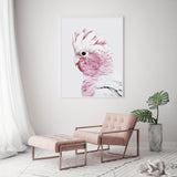 NNEDSZ Wall Art 90cmx135cm Pink Galah White Frame Canvas