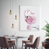 NNEDSZ Wall Art 50cmx70cm Pink Galah White Frame Canvas
