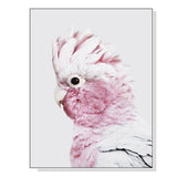 NNEDSZ Wall Art 60cmx90cm Pink Galah White Frame Canvas