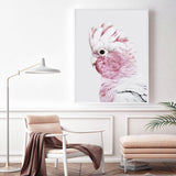NNEDSZ Wall Art 60cmx90cm Pink Galah White Frame Canvas
