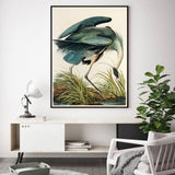NNEDSZ Wall Art 90cmx135cm Great Blue Heron By John James Audubon Black Frame Canvas