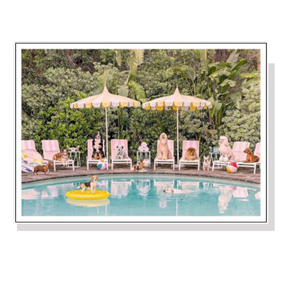 NNEDSZ Wall Art 70cmx100cm Dogs at Beverley Hills Hotel White Frame Canvas