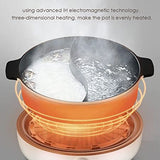 NNEDSZ Joyoung IH Induction Cooker with Hot Pot C21-CL01, 300W-2100W Adjustable Power Supply, Separated Pot and Stove