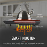 NNEDSZ EuroChef Electric Induction Cooktop Portable Kitchen Cooker Ceramic Cook Top