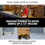 NNEDSZ Baumr-AG 40V Battery Powered Material Handling Dumper Wheelbarrow Motorised Electric, 300kg Capacity