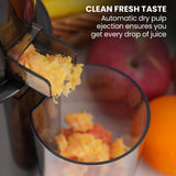 NNEDSZ EUROCHEF Cold Press Slow Juicer Machine, Large Chute, 200W, Charcoal Grey