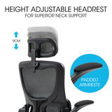 NNEDSZ FORTIA Ergonomic Office Desk Chair, Lumbar Support, Mesh Fabric, Adjustable Headrest, Retractable Armrests, Black