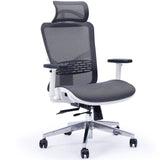 NNEDSZ FORTIA Ergonomic Office Desk Chair, Coolmesh Fabric, Headrest, Adjustable Lumbar Support, Armrests and Recline, Dark Grey Mesh/White Frame