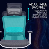 NNEDSZ FORTIA Ergonomic Office Desk Chair, Coolmesh Fabric, Headrest, Adjustable Lumbar Support, Armrests and Recline, Dark Grey Mesh/White Frame