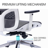 NNEDSZ FORTIA Ergonomic Office Desk Chair, Coolmesh Fabric, Headrest, Adjustable Lumbar Support, Armrests and Recline, Dark Grey Mesh/White Frame