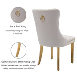 NNEDSZ AADEN 4x Velvet Dining Chairs with Golden Metal Legs-Beige