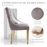NNEDSZ AADEN 2x Velvet Dining Chairs with Golden Metal Legs-Grey