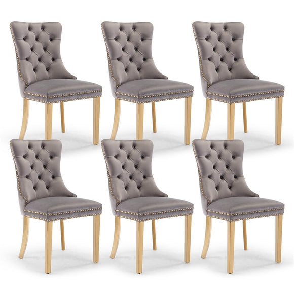 NNEDSZ AADEN 6x Velvet Dining Chairs with Golden Metal Legs-Grey