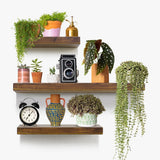 NNEDSZ Floating Shelf Set of 3 Black - Brown
