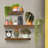 NNEDSZ Floating Shelf Set of 3 Black - Brown