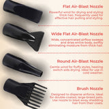 NNEDSZ Floofi Pet Hair Dryer LCD (Black)