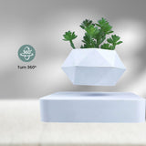 NNEDSZ Magnetic Levitating Plant Pot White