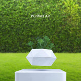 NNEDSZ Magnetic Levitating Plant Pot White