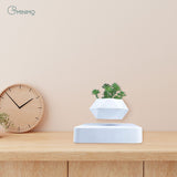 NNEDSZ Magnetic Levitating Plant Pot White