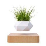 NNEDSZ Magnetic Levitating Plant Pot (Light Brown Base)