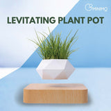 NNEDSZ Magnetic Levitating Plant Pot (Light Brown Base)