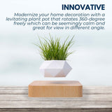NNEDSZ Magnetic Levitating Plant Pot (Light Brown Base)