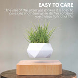 NNEDSZ Magnetic Levitating Plant Pot (Light Brown Base)