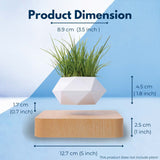 NNEDSZ Magnetic Levitating Plant Pot (Light Brown Base)