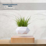 NNEDSZ Magnetic Levitating Plant Pot (Light Brown Base)