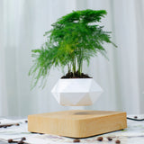 NNEDSZ Magnetic Levitating Plant Pot (Light Brown Base)