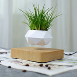 NNEDSZ Magnetic Levitating Plant Pot (Light Brown Base)